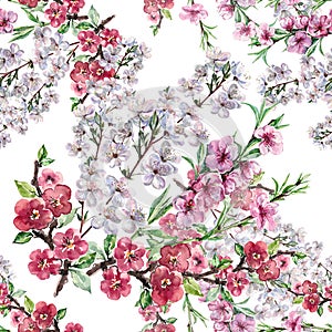 Watercolor Flowers Apple Cherry and Peach. Handiwork Seamless Pattern on a White Background.