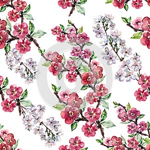 Watercolor Flowers Apple with Flowers Cherry. Handiwork Seamless Pattern on a White Background.