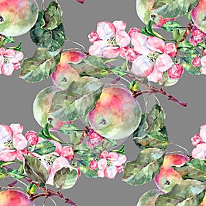 Watercolor Flowers Apple with Fruits. Handiwork Seamless Pattern on a Gray Background.