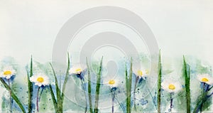 Watercolor flowers background with daisies and grass on light blue paper backdrop