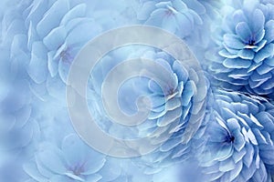 Watercolor flowers on blurry blue background . Blue-white flowers chrysanthemum. floral collage. Flower composition.