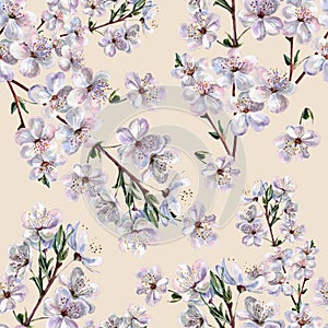 Watercolor Flowers Cherry. Handiwork Seamless Pattern on a Pink Background.