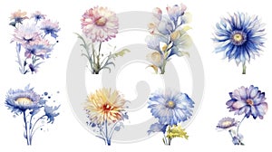 Watercolor Flowers Collection from United States Minor Outlying Islands on Clean White Background .