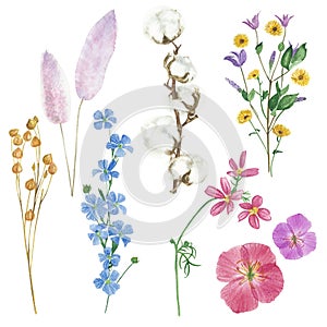 Watercolor flowers floral paint illustration with clipping parts isolated on white background