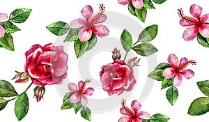 Watercolor flowers painting illustration isolated on white background