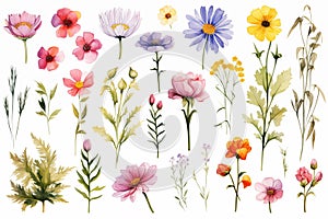 watercolor flowers painting illustration set on white background generative ai