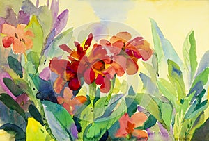 Watercolor flowers painting original colorful of canna Lily flowers