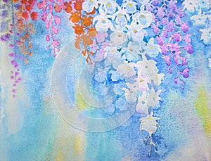 Watercolor flowers painting original realistic colorful of orchid flowers