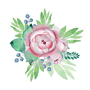 Watercolor Flowers. Roses Bouquet. Pink Roses and Blue Berries. Floral illustration