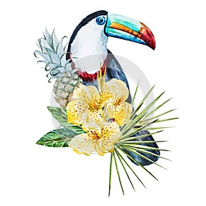 Watercolor flowers with toucan