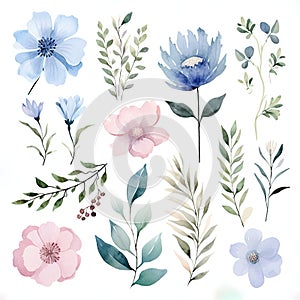 Watercolor flowers on a white background. Generative AI