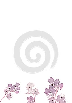 Watercolor flowers on a white background. Poster or banner with flowers and copy space