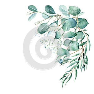 Watercolor foliage bouquet, corner. Eucalyptus and gypsophila branches. True blue, willow, silver dollar, seeded. Hand