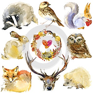 Watercolor Forest animals set