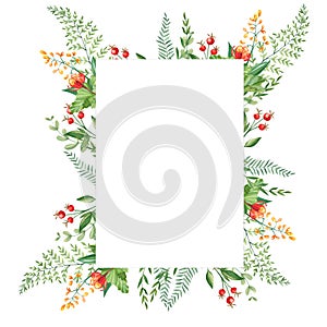 Watercolor forest frame with cloudberries, fern, green branches and red berries isolated on white background. Hand drawn
