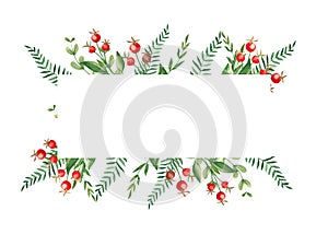 Watercolor forest frame with fern, green branches and red berries isolated on white background. Hand drawn botanical