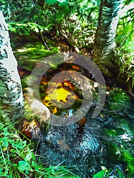 Watercolor forest landscape. Little creek, spring key