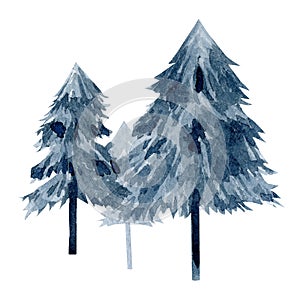 Watercolor forest tree. Winter blue fir, spruce . Woodland twigs. Travel illustration for logo, banner, greeting card