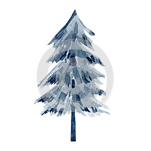 Watercolor forest tree. Winter blue tree. Woodland christmas pine, spruce, twigs. Travel illustration for logo, banner
