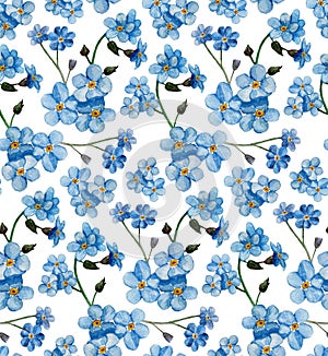 Watercolor forget me nots pattern. Blue flowers background