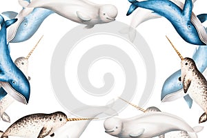 Watercolor frame with beluga, blue whale and narwhal isolated on white background. Hand painting realistic Arctic and