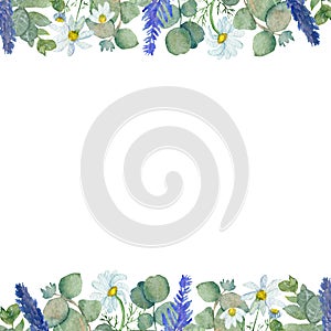 Watercolor frame of branches of medicinal eucalyptus, flowers of pharmacy chamomile and lavender twigs isolated on a white backgro