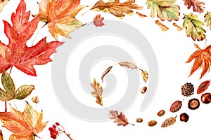 Watercolor frame with bright multicolored autumn leaves and maple winglets, chestnut fruits, oak acorns and pine cones