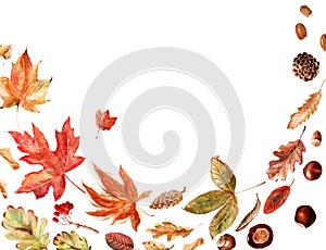 Watercolor frame with bright multicolored autumn leaves and maple winglets, chestnut fruits, oak acorns and pine cones