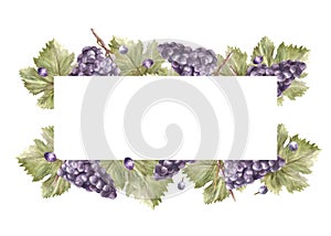 Watercolor frame bunch of grapes, grape leaves and berry. Grapevine label hand painted illustration