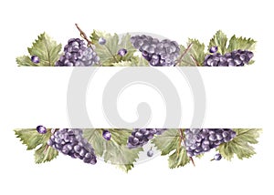 Watercolor frame bunch of grapes, grape leaves and berry. Grapevine label hand painted illustration