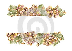 Watercolor frame bunch of grapes, grape leaves and berry. Grapevine label hand painted illustration