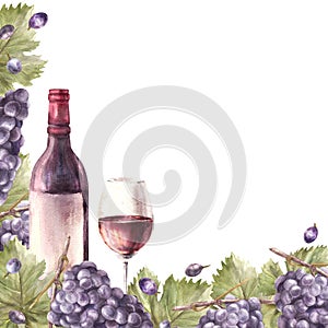 Watercolor frame bunch of grapes, leaves with bottle and glass red wine. Hand painted illustration