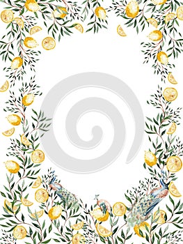 Watercolor frame with citrus fruits and leaves, birds peacoc.