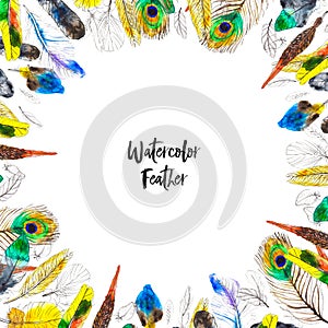 Watercolor frame with colorful feathers on white background