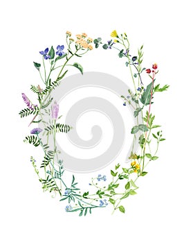 Watercolor frame with meadow herbs and flowers