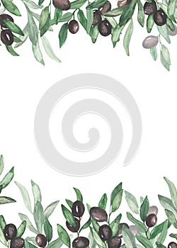 Watercolor frame with olives, fruits and leaves, rectangular, around the edges, for wedding, cards, invitations