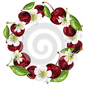 Watercolor frame of white flowers and cherries. Beautiful frame with cherry flowers, cherries, leaves, hand drawn
