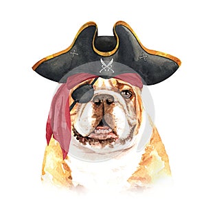 Watercolor french bulldog with Pirate blindfold and Pirate hat layer path.