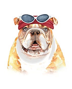 Watercolor french bulldog with sunglasses and headband layer path.