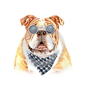 Watercolor french bulldog with sunglasses and scarf layer path.