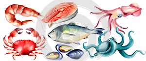 Watercolor fresh fish and mollusc from the sea photo