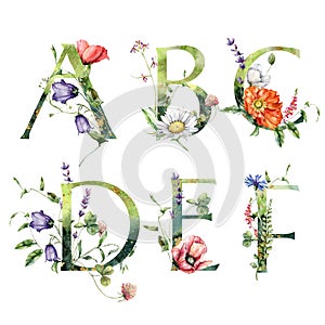 Watercolor frolal alphabet set of A, B, C, D, E, F with wild flowers. Hand painted floral symbols isolated on white