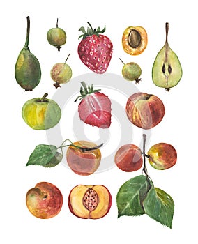 Watercolor fruit set. Juicy fruits and berries,