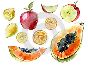 Watercolor fruit set. Papaya, lemon, apple cut in halves and slices isolated on white background. Tropical fruit in cross section.