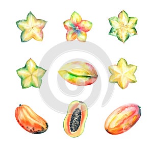 Watercolor fruits set. Carambola, starfruit, papaya.on white background.