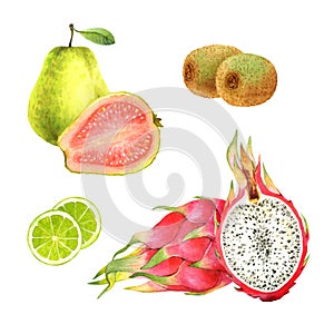 Watercolor fruits set: guava, kiwi, lime, pitaya