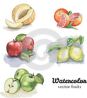 Watercolor fruits set: melon, apple red and green apple, orange, lemon