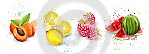 Watercolor fruits set Vector. Apricot, lemon, raspberry, watermelon delicious illustrations