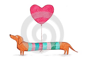 Watercolor Funny Dachshund Dog With Heart Balloon. Badger Dog