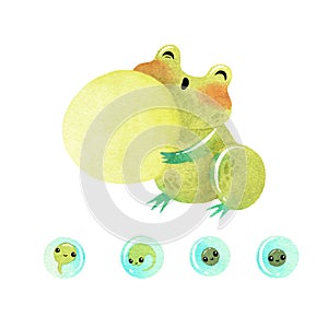 Watercolor funny Toad croaks with eggs isolated on white background